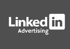 linkedin ads expert