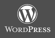 wordpress optimization expert